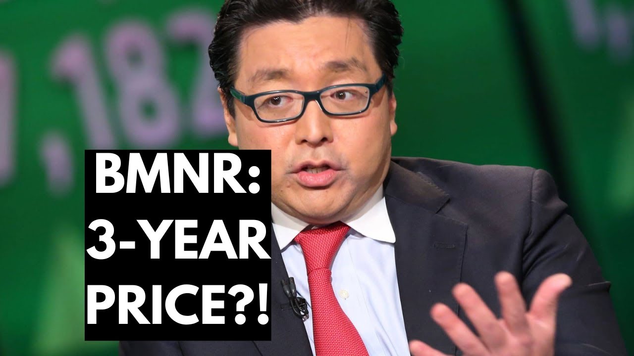 BMNR STOCK 3-YEAR PRICE TARGET FOR INVESTORS?❗IF YOU OWN MORE THAN $5,000 OF BITMINE STOCK, LISTEN❗