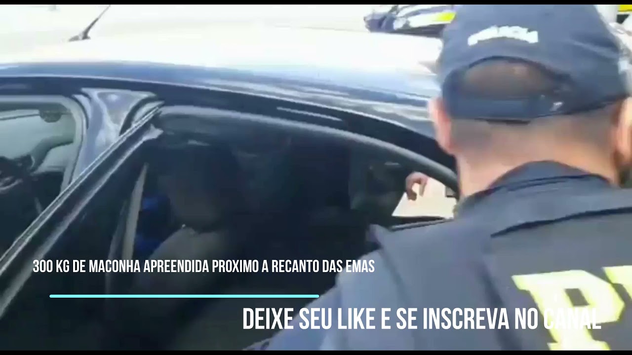 DROGA - 300 kg de maconha apreendida no recanto das emas DF