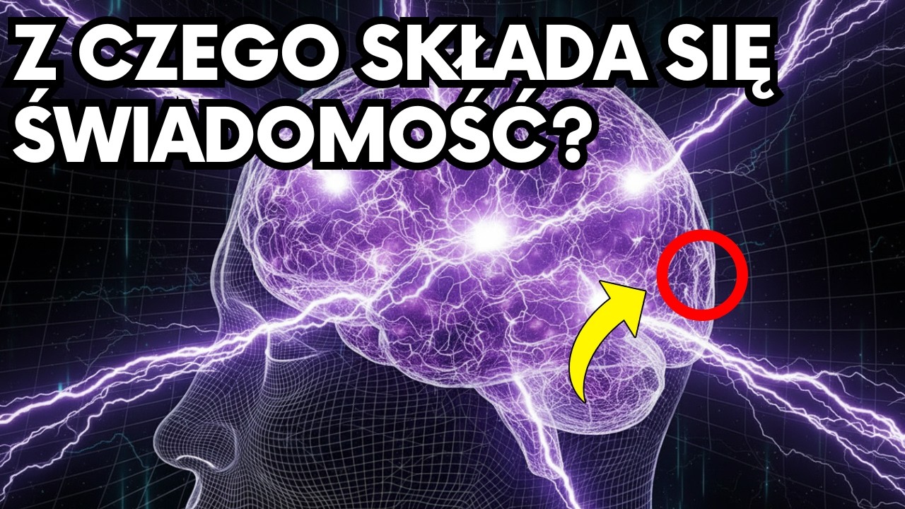 Z Czego Składa Się Świadomość Według Fizyki Kwantowej?