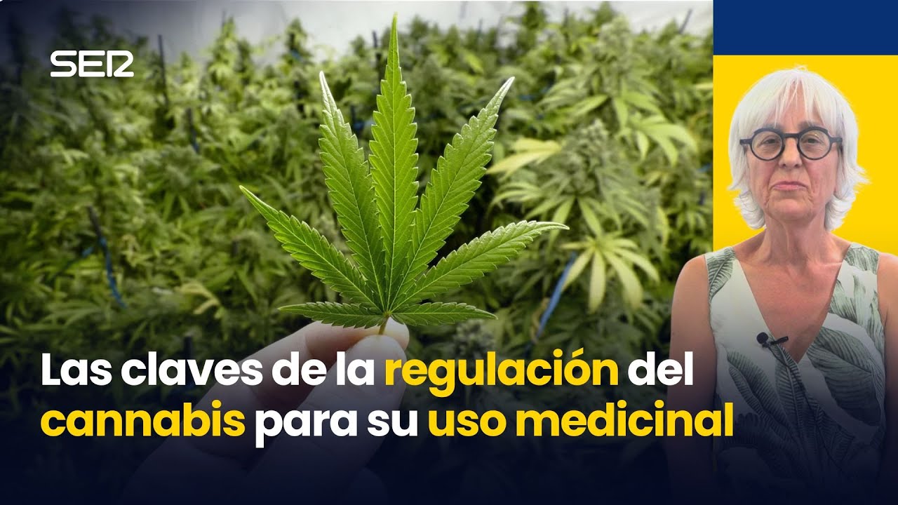 CANNABIS MEDICINAL en ESPA&Ntilde;A: Las CLAVES de la NUEVA LEY