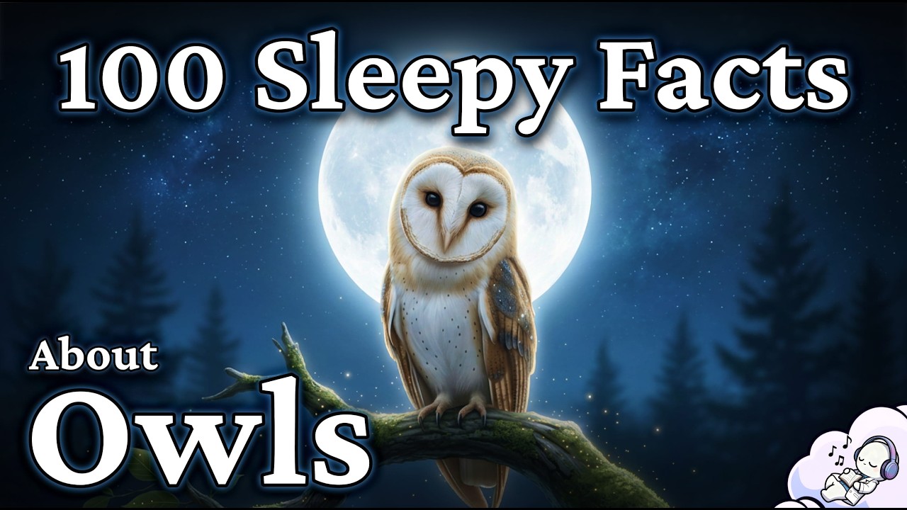 Quiet Owls Facts To Help You Drift Off to Sleep