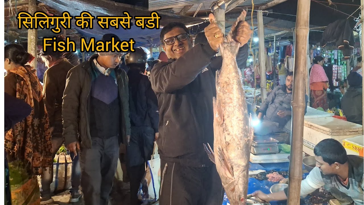 Bengal Siliguri ka Sabse Sasta Fish Market 🏞️🦈🐟viral