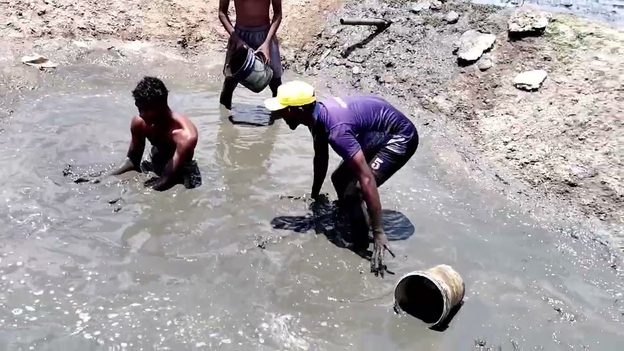 நாட்டு விரால் மீன்கள் 🐟💥👍Like & Subscribe🙏