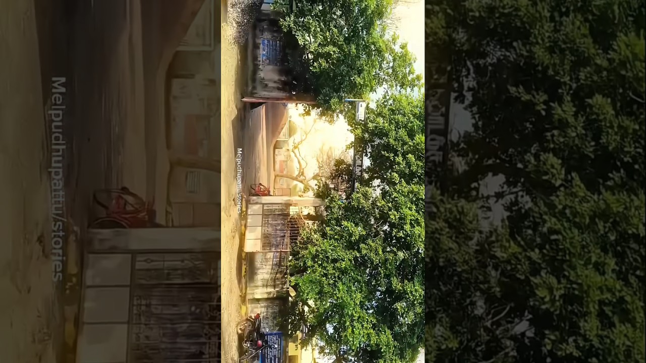 Mp village vlog 🌿🌴🏞️🌱#villagelife #song #song #villagelifestyle #villagelifestyle #villagefood