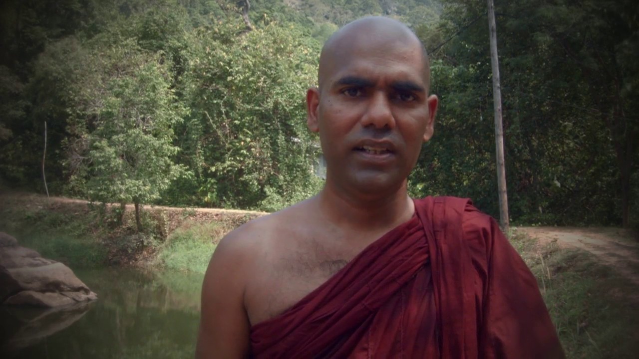 Wana Arane Sangawa Yana Saliya Arana - Dolukanda Rankoth Lena