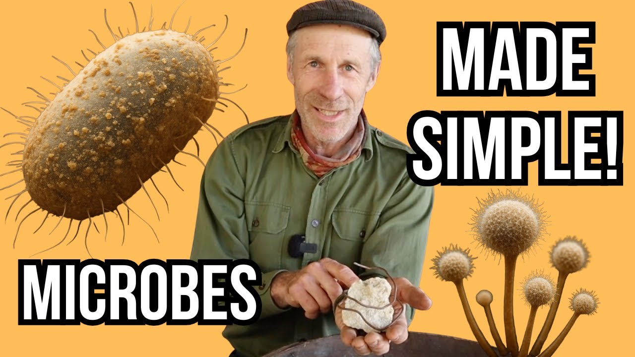 Do You Know How Soil Microbes Work? Simple Explanation!