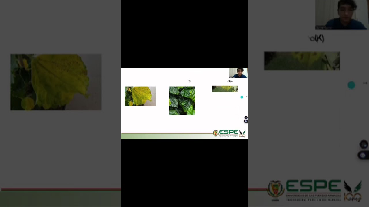 Deficiencia de nutrientes de la flor cucarda