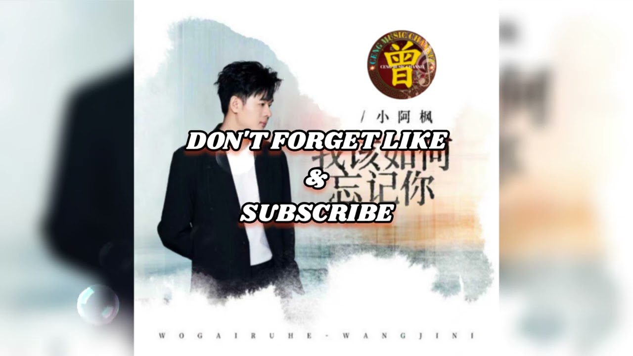 ▶️ 我该如何忘记你 Wo gai ru he wang ji ni 小阿枫 Xiao a feng 【中/pinyin】