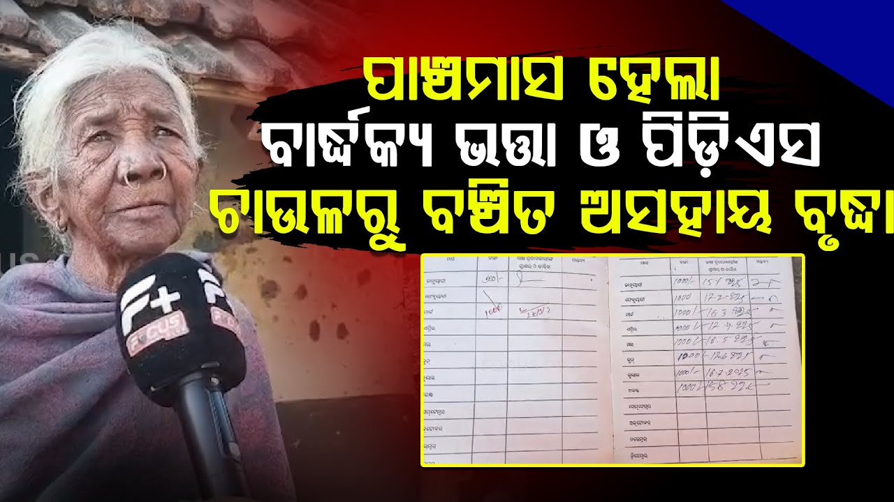 ପାଞ୍ଚମାସ ହେଲା ବାର୍ଦ୍ଧକ୍ୟ ଭତ୍ତା ଓ ପିଡ଼ିଏସ ଚାଉଳରୁ ବଞ୍ଚିତ ଅସହାୟ ବୃଦ୍ଧା || Allowance || FOCUS PLUS