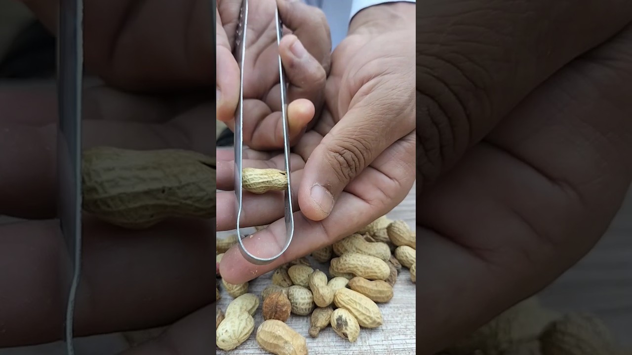 Easy crack peanuts 🥜 tutorial. #youtubeshorts #ytshorts #shorts