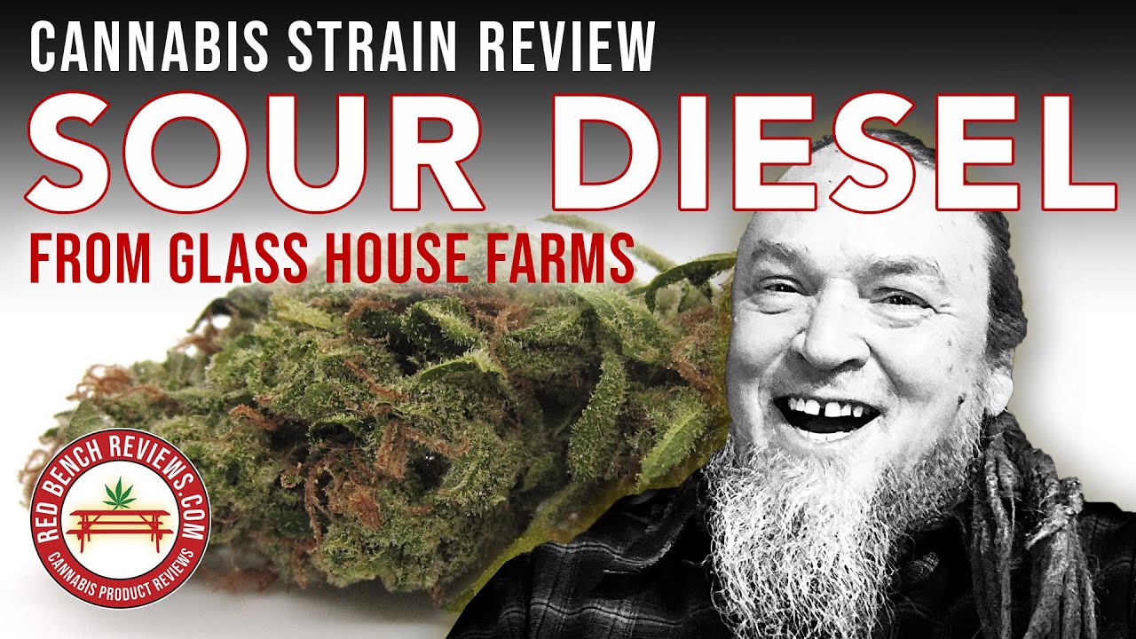 Glass House Farms |  Sour Diesel Strain Review | 19.20% THC!