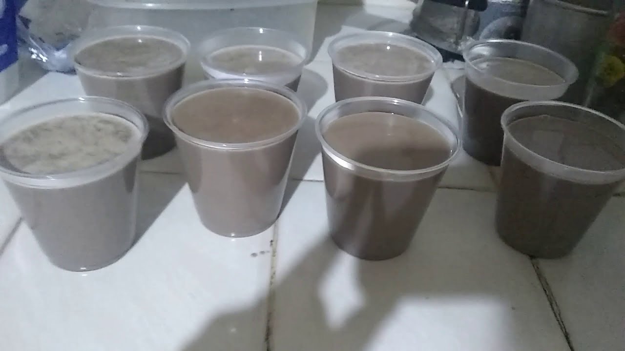 Gelatina de galleta oreo | para negocio | con pocos ingredientes