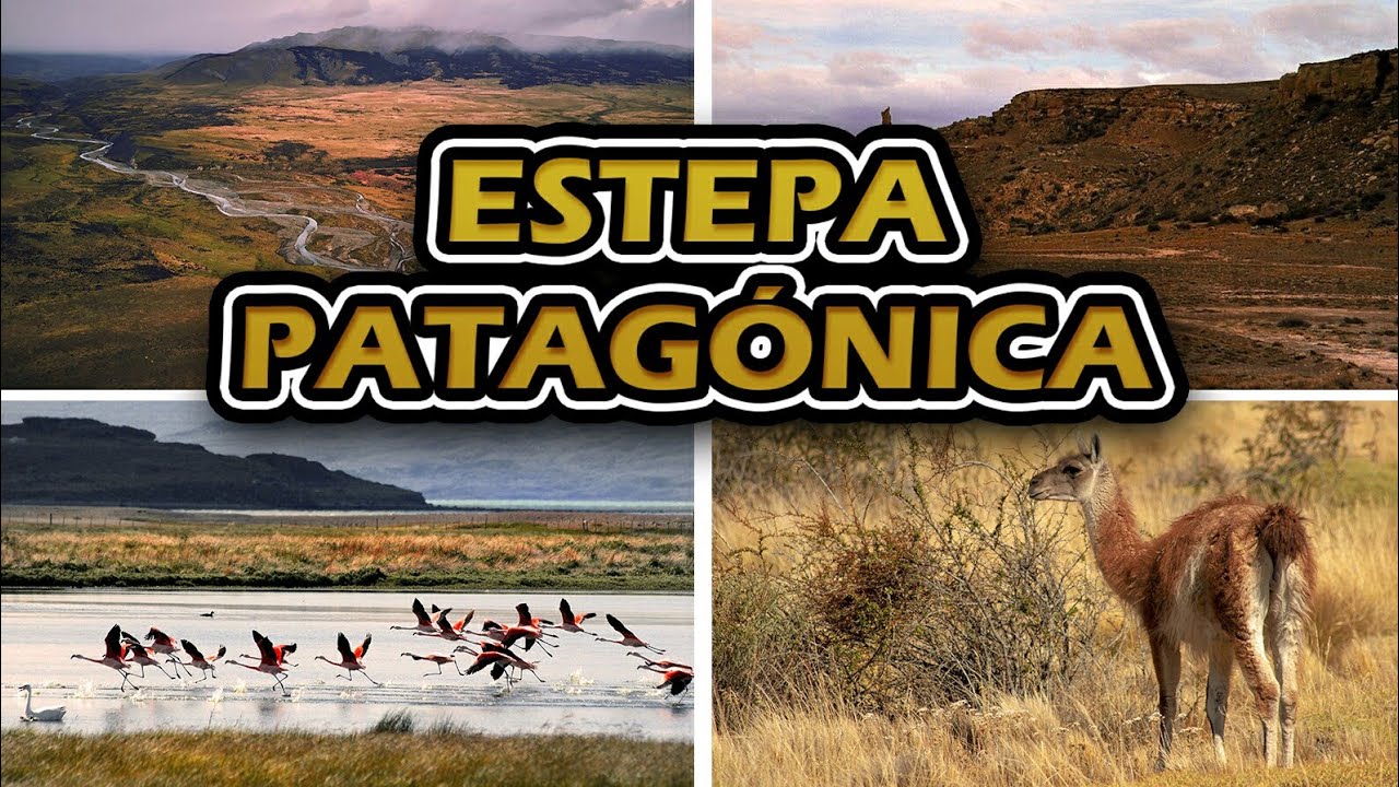 Ecorregiones de Argentina: La estepa patagónica