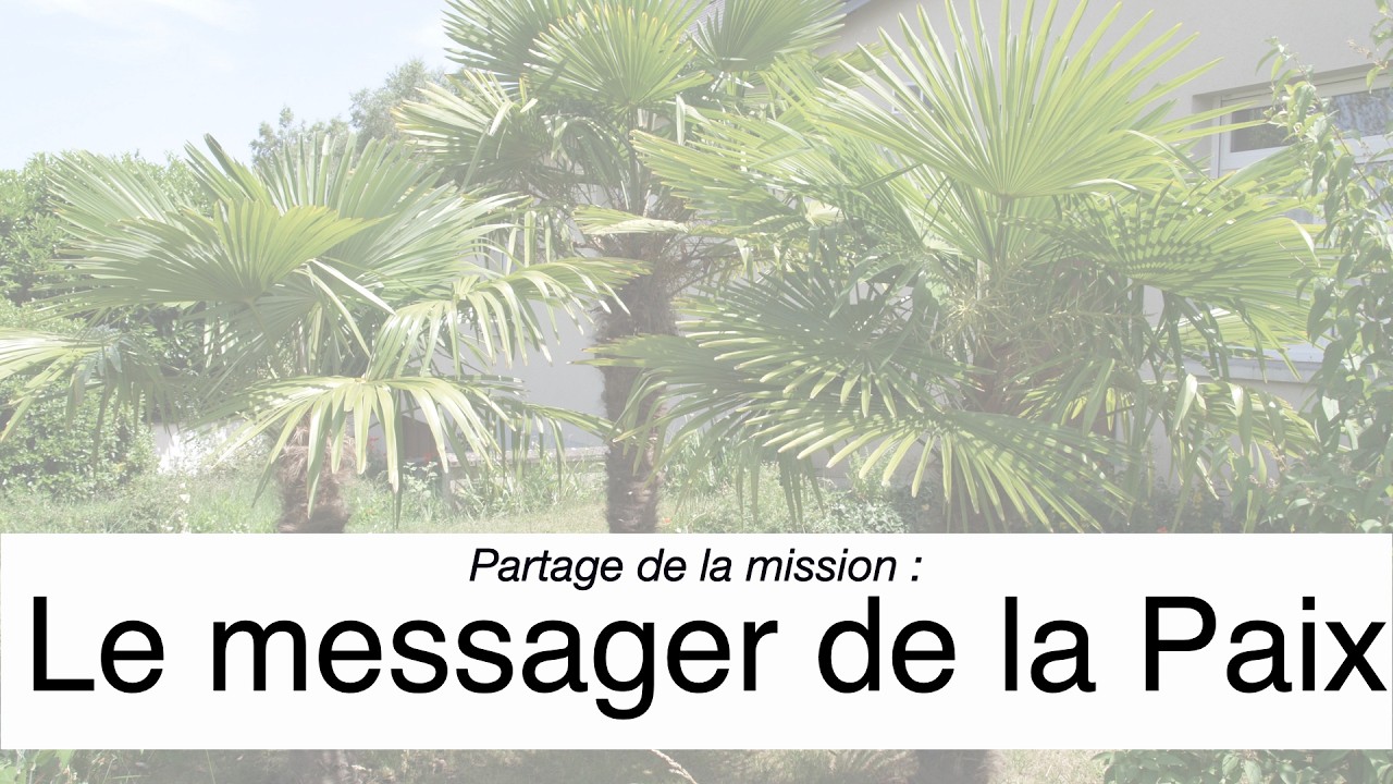 Dimanche le 8 mars 2026