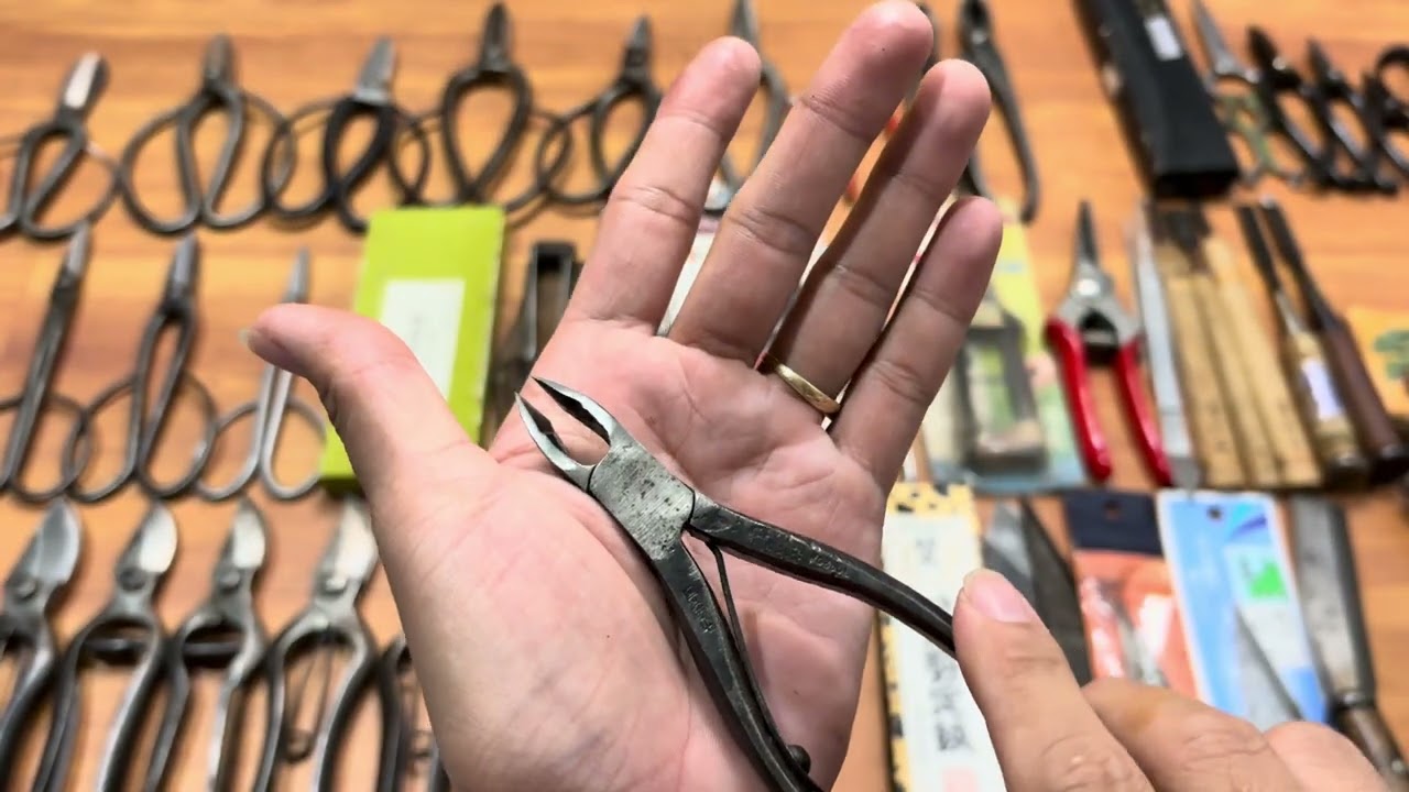 Clip 173 Lô dụng cụ cuối năm nghỉ Tết #0376628645 #dungcubonsai #hàngnhậtbãi #kéocắtcành #keo 
