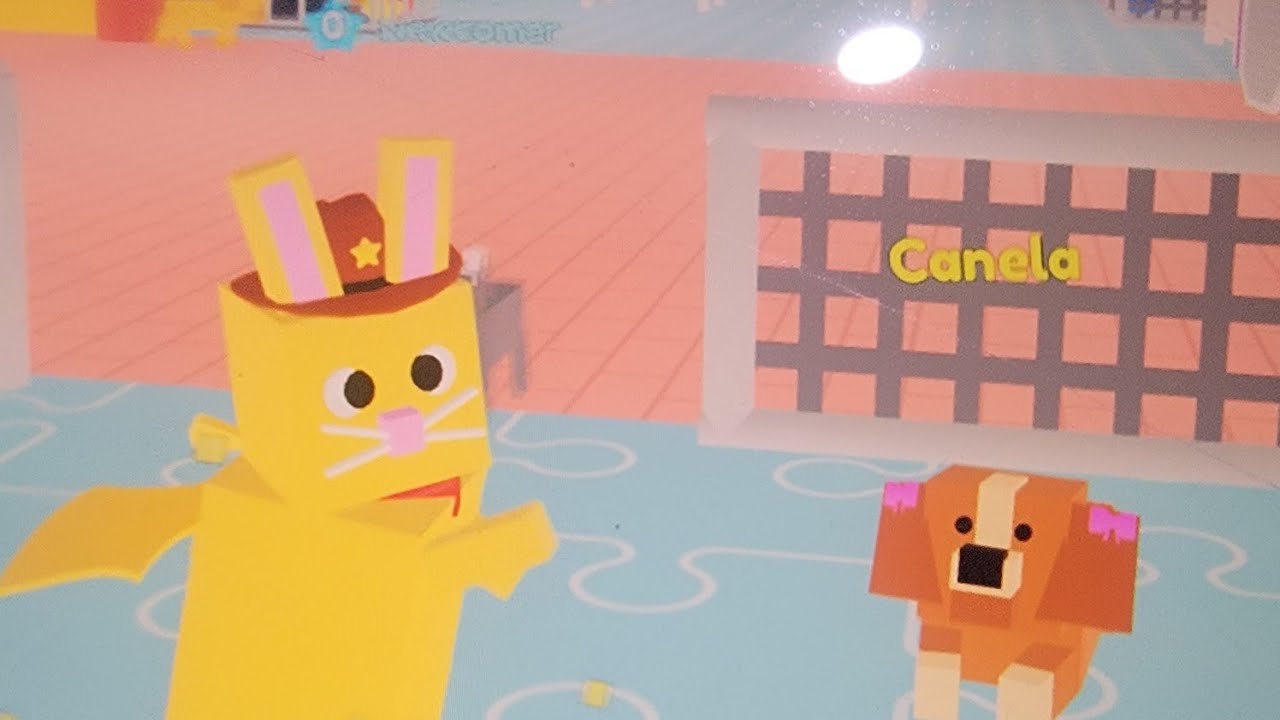 Pet story!