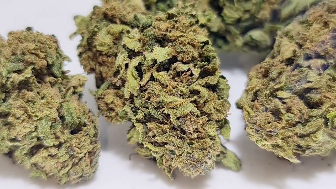 BIO CBD Cannadream Glashaus Bl&uuml;ten - vaporspirit.ch