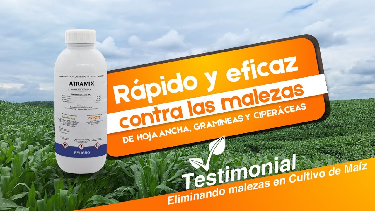 Testimonial: Eliminando Malezas en cultivos de Ma&iacute;z