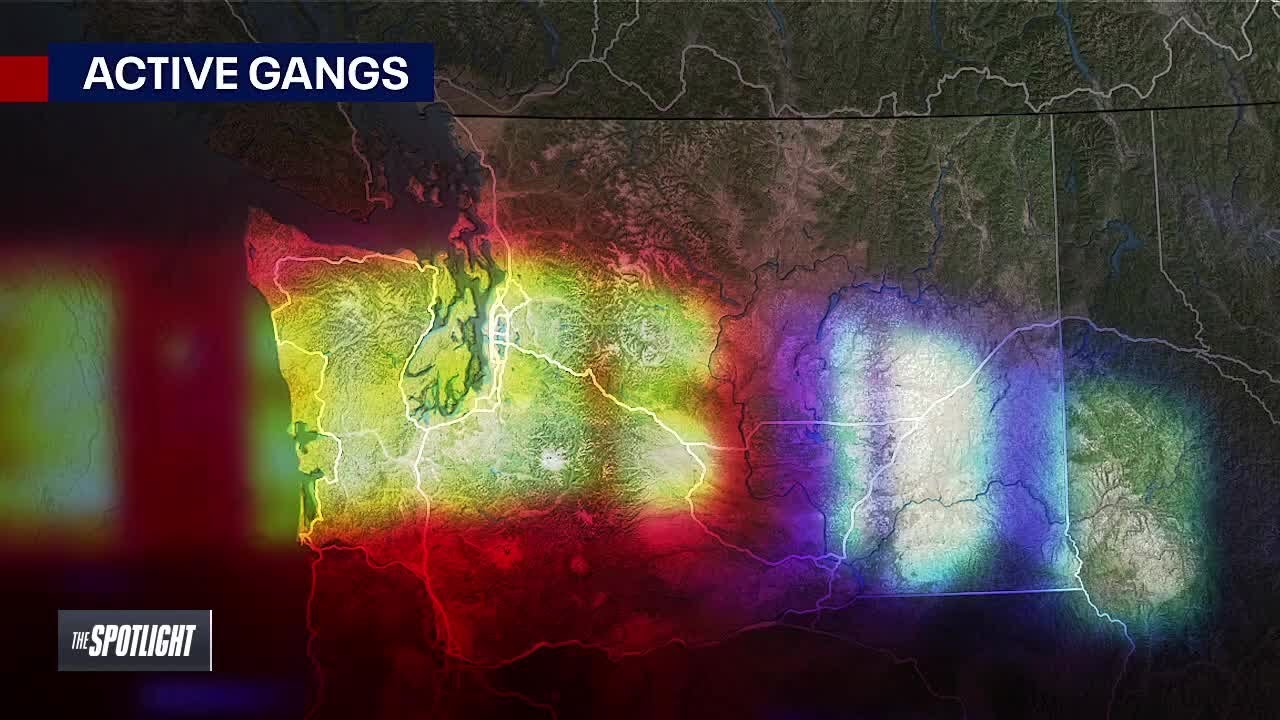 The Spotlight: Gangs aren't just a city problem anymore | FOX 13 Seattle