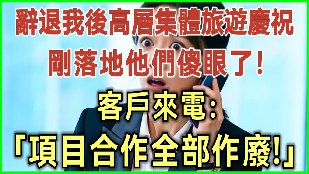 辞退我后高层集体旅游庆祝！刚落地他们傻眼了！客户来电：项目合作全部作废！完结爽文#为人处世#生活经验#情感故事