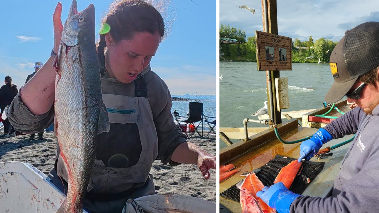 Dipnetting Alaska's Sockeye Salmon + What Did This Cost Us? | $$$ Per Pound