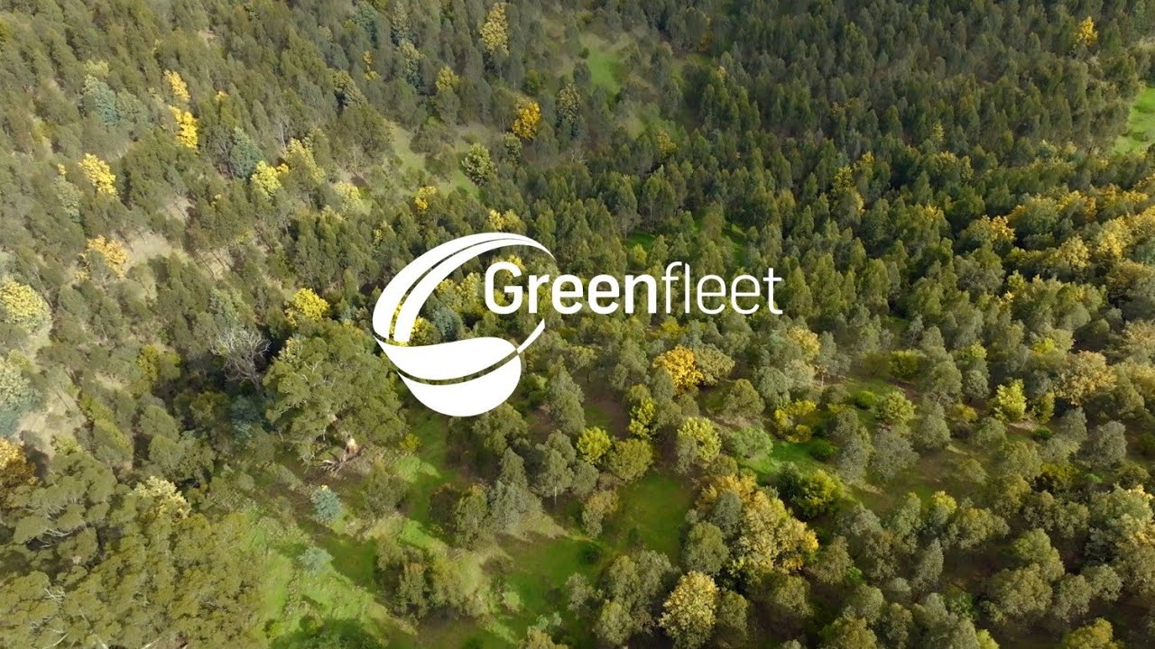Greenfleet Impact 2025