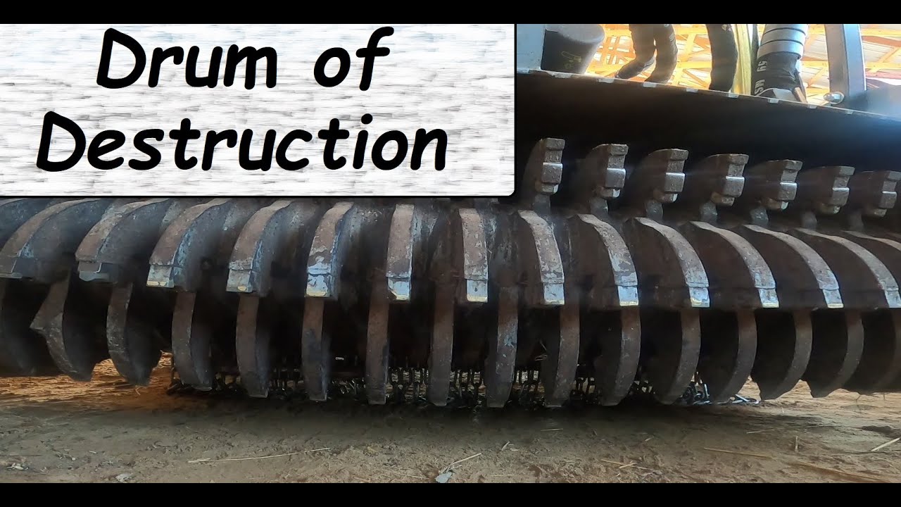 One baumalight mulcher,  One guy, and 5 hours