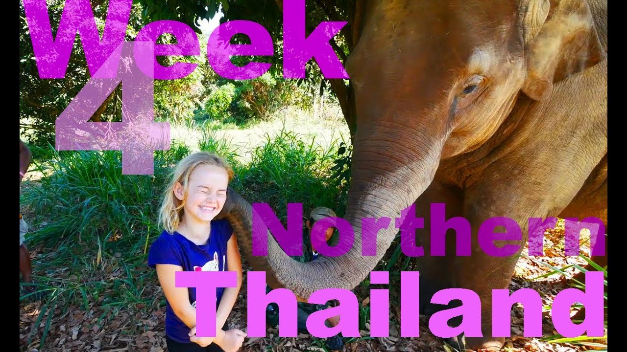Northern Thailand with Kids - VLOG - Elephants, Night Markets and Ginger Farm