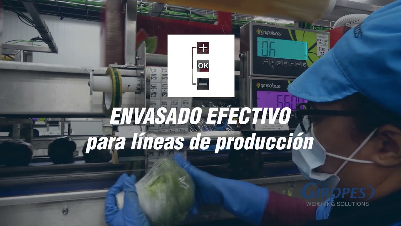 Línea de producción con software GISCALE -  GRUPO LUCAS