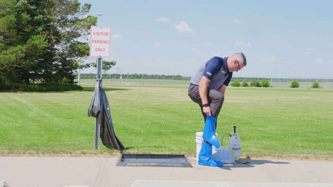 InVigor Clubroot | BASF