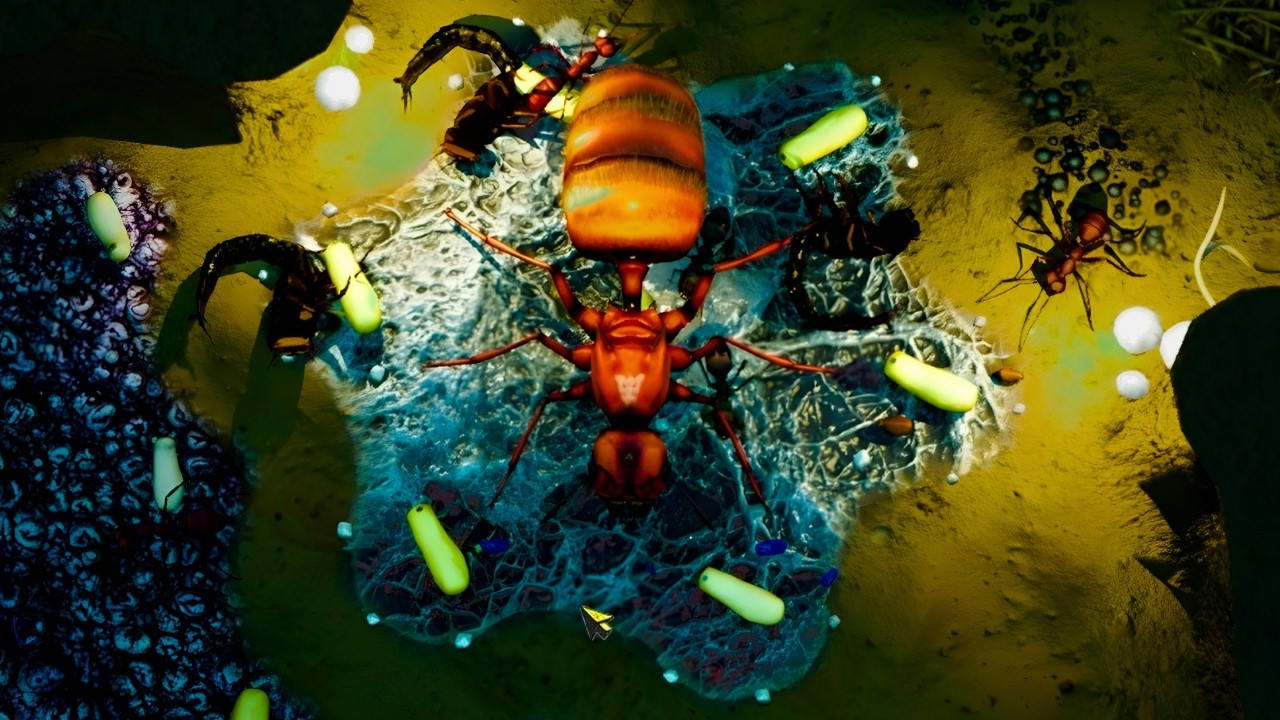 My Ant Queen Gets Put To The Test