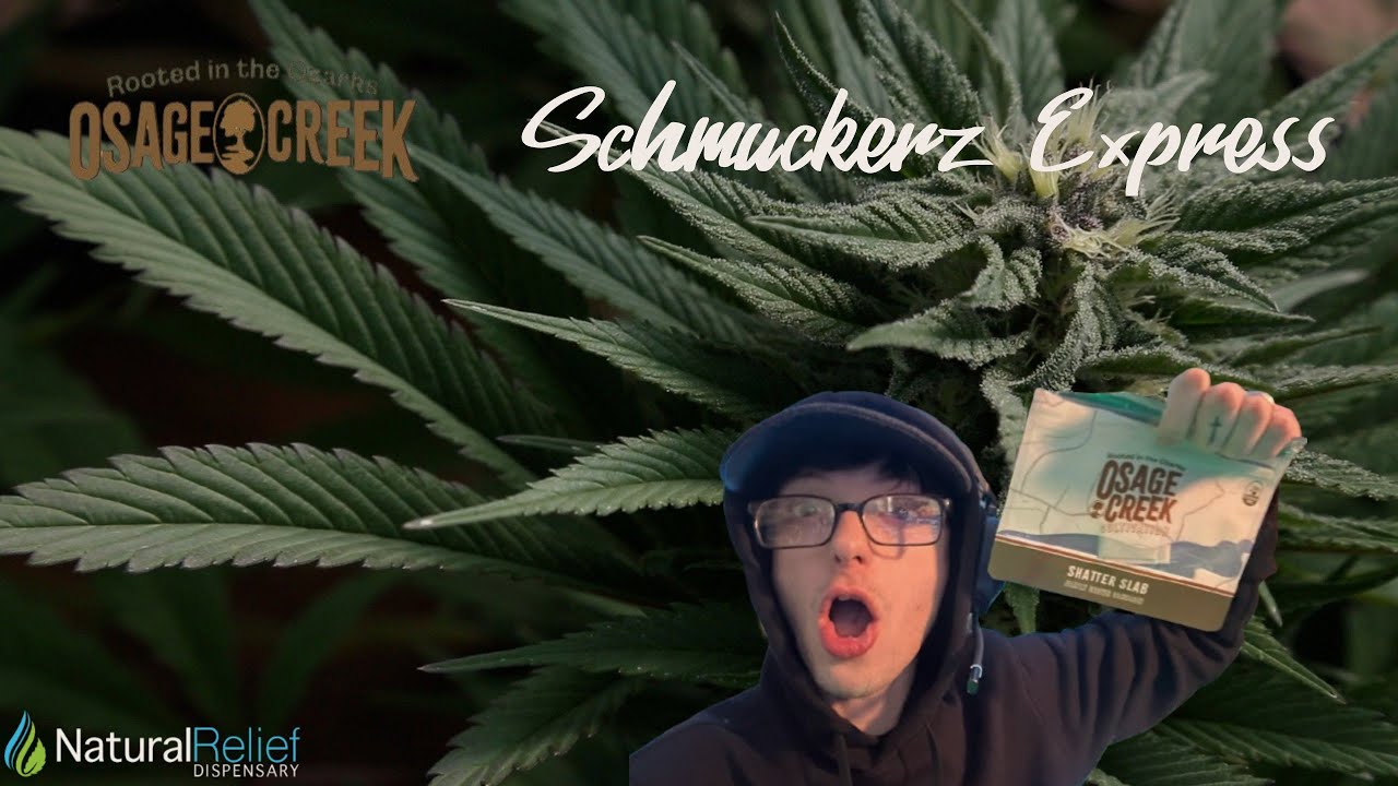 Shmuckerz Express | Osage Creek Cultivation | Strain Review