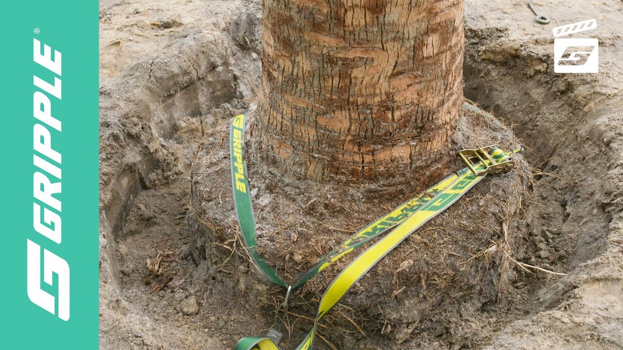 Premium Root Ball Kit - Product Focus