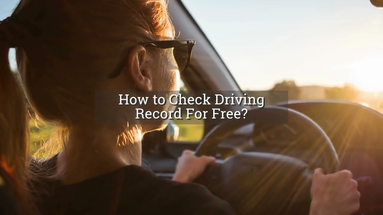 How to Check Driving Record For Free