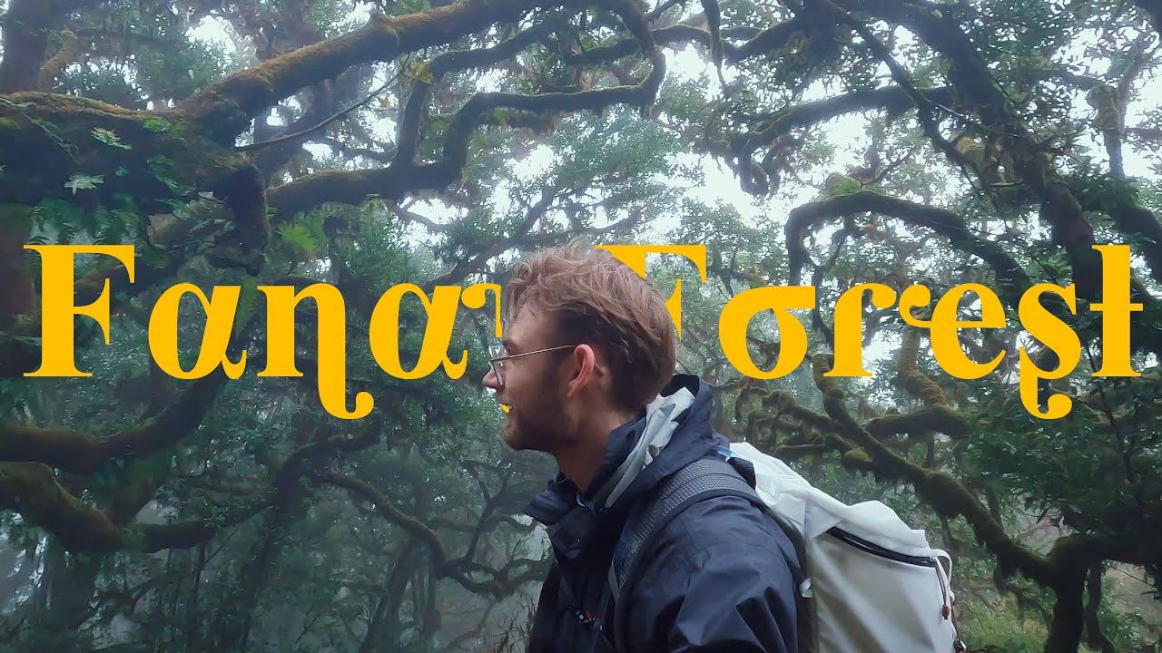 On explore la forêt la plus folle de Madère! ( Fanal Forest )