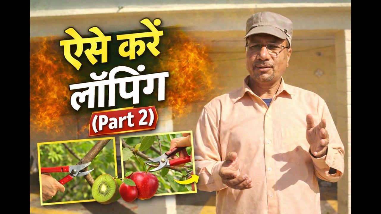 लॉपिंग के बाद की सबसे ज़रूरी स्टेप 😮 (Part-2) | यहीं होती है सबसे बड़ी गलती! ⚠️