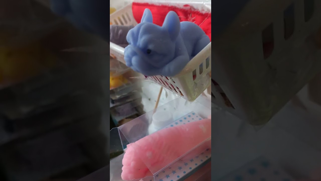 соббота сквиши собачек новая кровать собак сквиши коты встали раньше собак