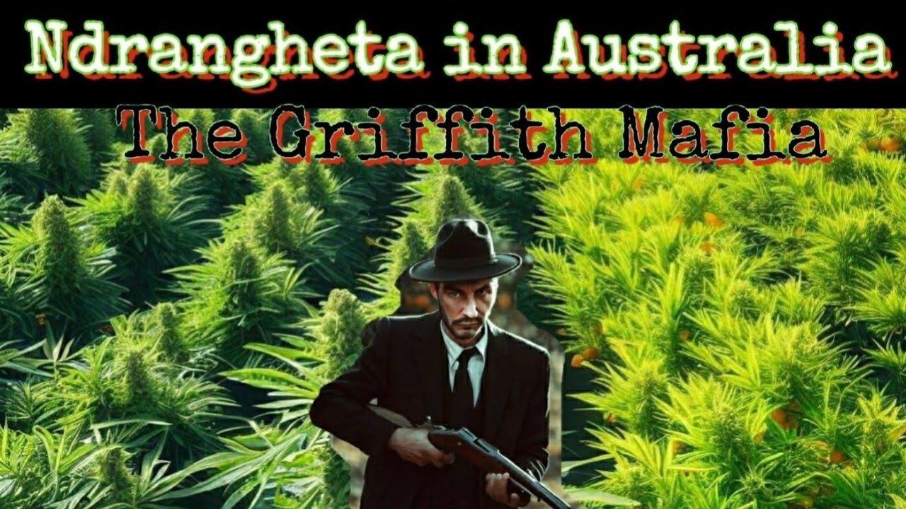 Griffith Mafia Australian 'Ndrangheta 🖐🏽 Criminals Cut Throats & Convicts
