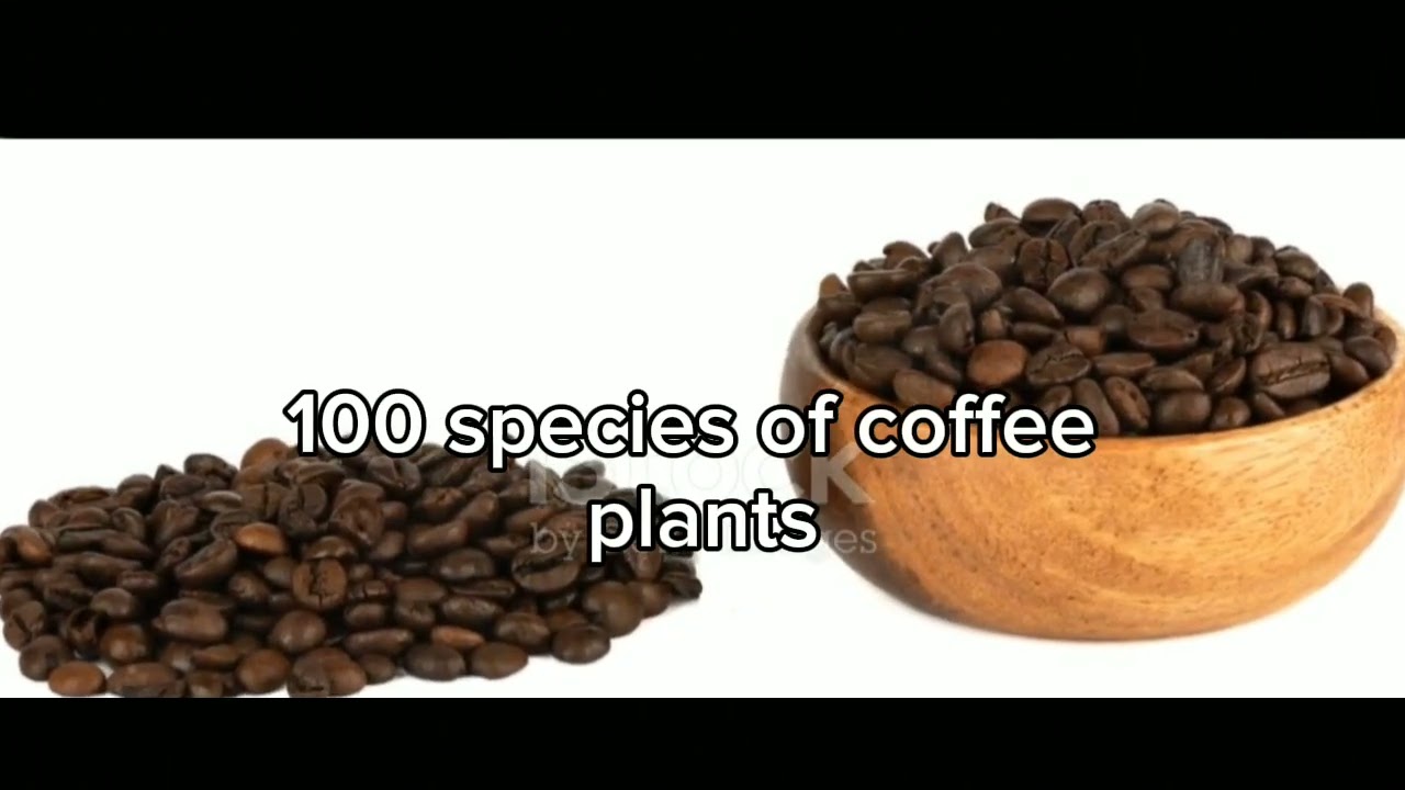 The Aromatic Journey: History, Types, and Benefits of Coffee