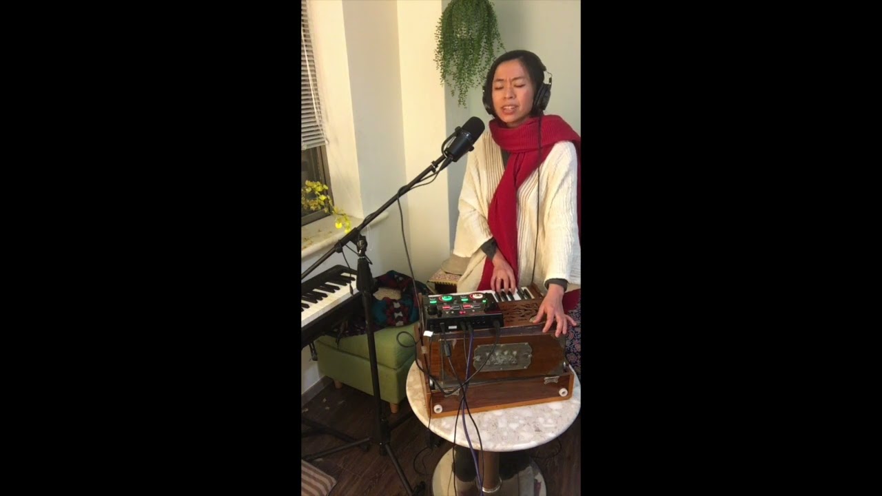 Live Looping - Tomorrow (Miner Cover) - with Boss RC- 202 and harmonium