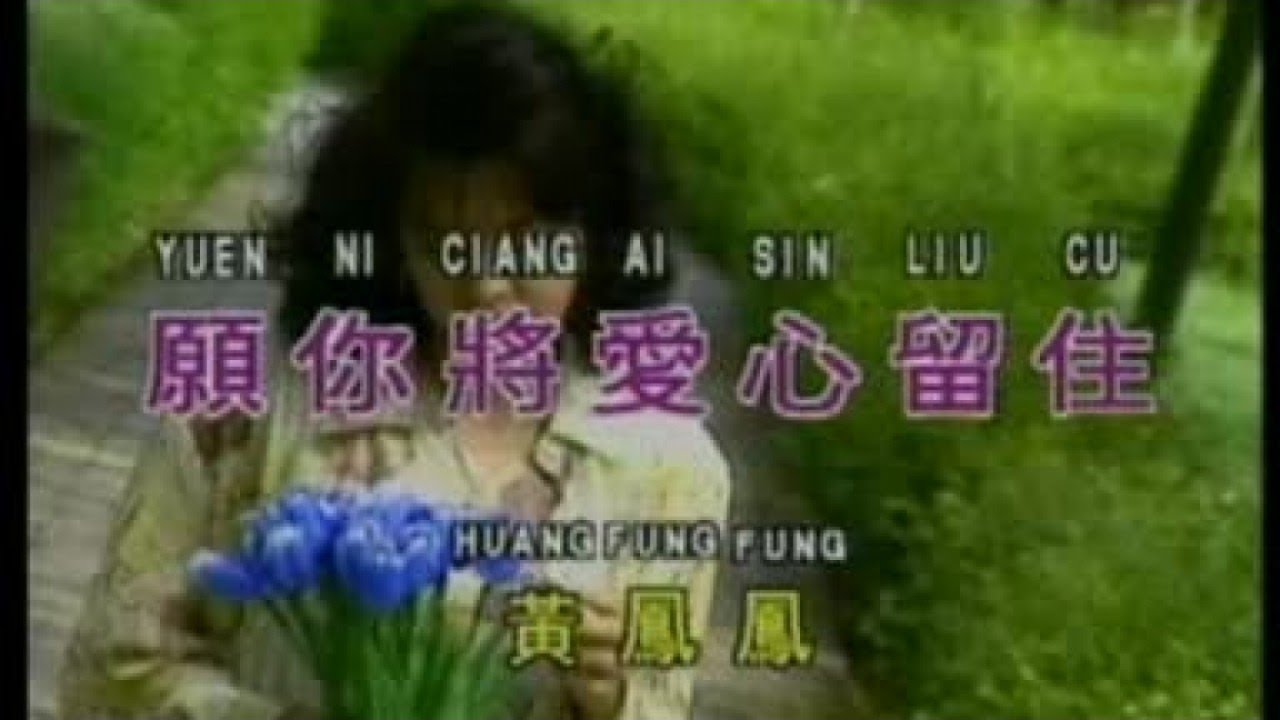 黄凤凤 - 愿你将爱心留住（歌词）