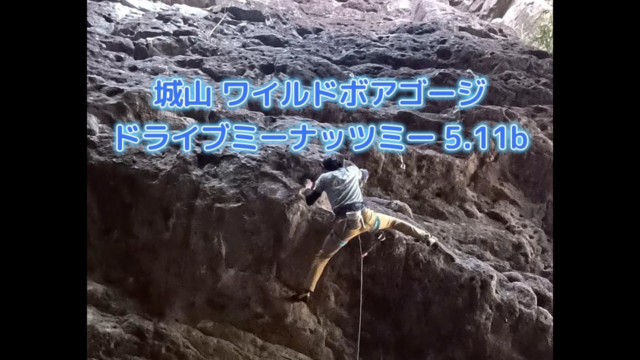 ドライブミーナッツ 5.11b（城山 ワイルドボアゴージ）イレブン完登328本目