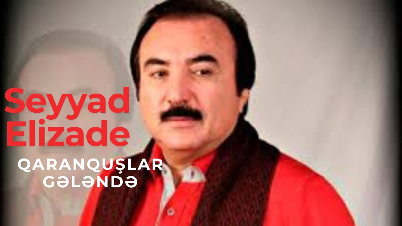 Seyyad Elizade – Qaranquşlar Gələndə | 2026 Remix