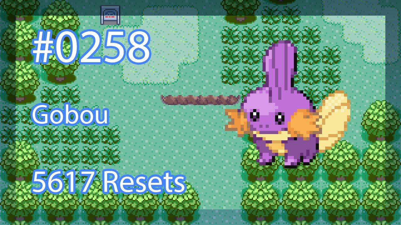 [75✨] Gobou Shiny Full Odds en 5716 SR sur Pokémon Emeraude