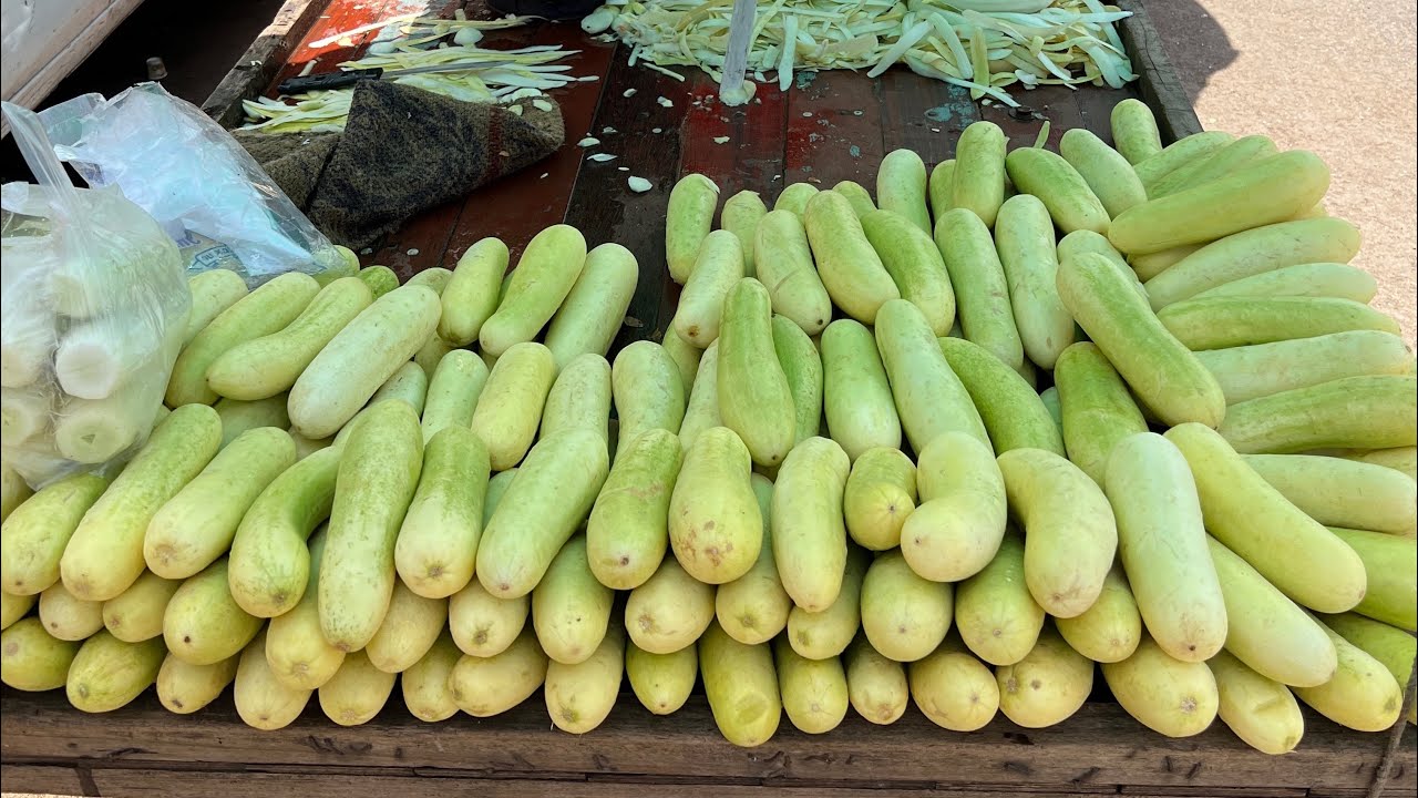 Masala Cucumber Rs.10 at Chakala, Andheri East | Indian Street Food