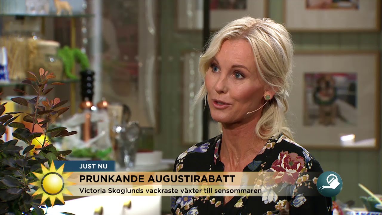 Victoria Skoglund visar sensommarväxter som ger dig rabattlycka - Nyhetsmorgon (TV4)