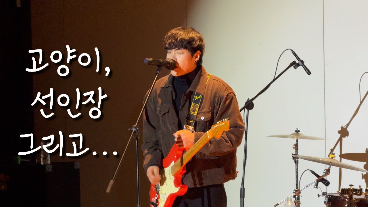 260109 극동아시아타이거즈 - 고양이, 선인장 그리고... (지수 focus) | MUSIC ENCOUNTER @수원 AK아트홀