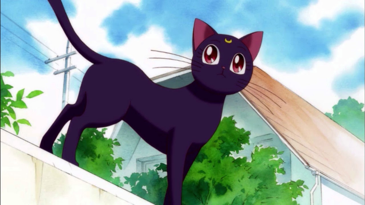 Sailor moon AMV   To the moon and back