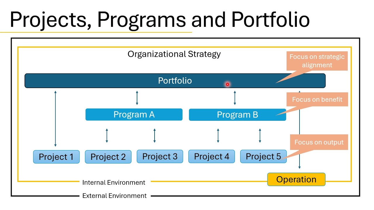 Episode 2: What is PMI, PMBOK, PMP, Project, Program, Portfolio? Standard for project Management