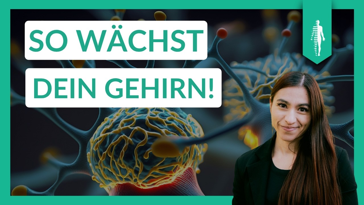 Neuroplastizität verstehen: So wächst Dein Gehirn! | BDNF | Lernen